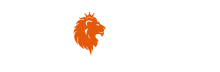 nine casino logo